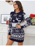 Women's Cute Christmas Sweater Dress Long Sleeve Crew Neck Elk Floral Printed Oversized Pullover Mini Dress