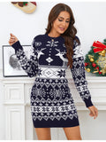 Women's Cute Christmas Sweater Dress Long Sleeve Crew Neck Elk Floral Printed Oversized Pullover Mini Dress