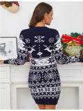 Women's Cute Christmas Sweater Dress Long Sleeve Crew Neck Elk Floral Printed Oversized Pullover Mini Dress